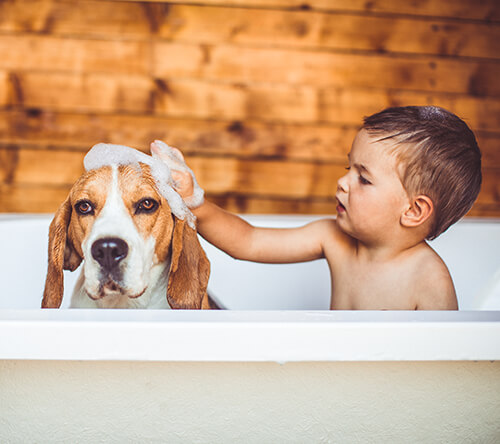 Dog and kid in tub